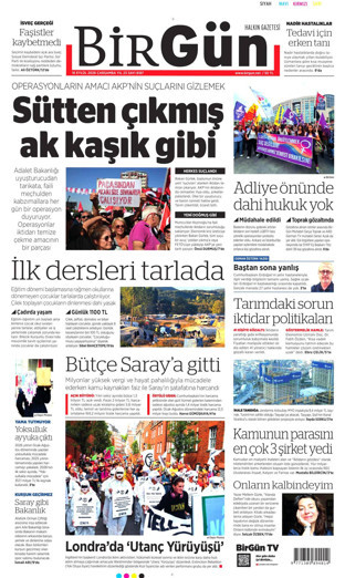 Birgün